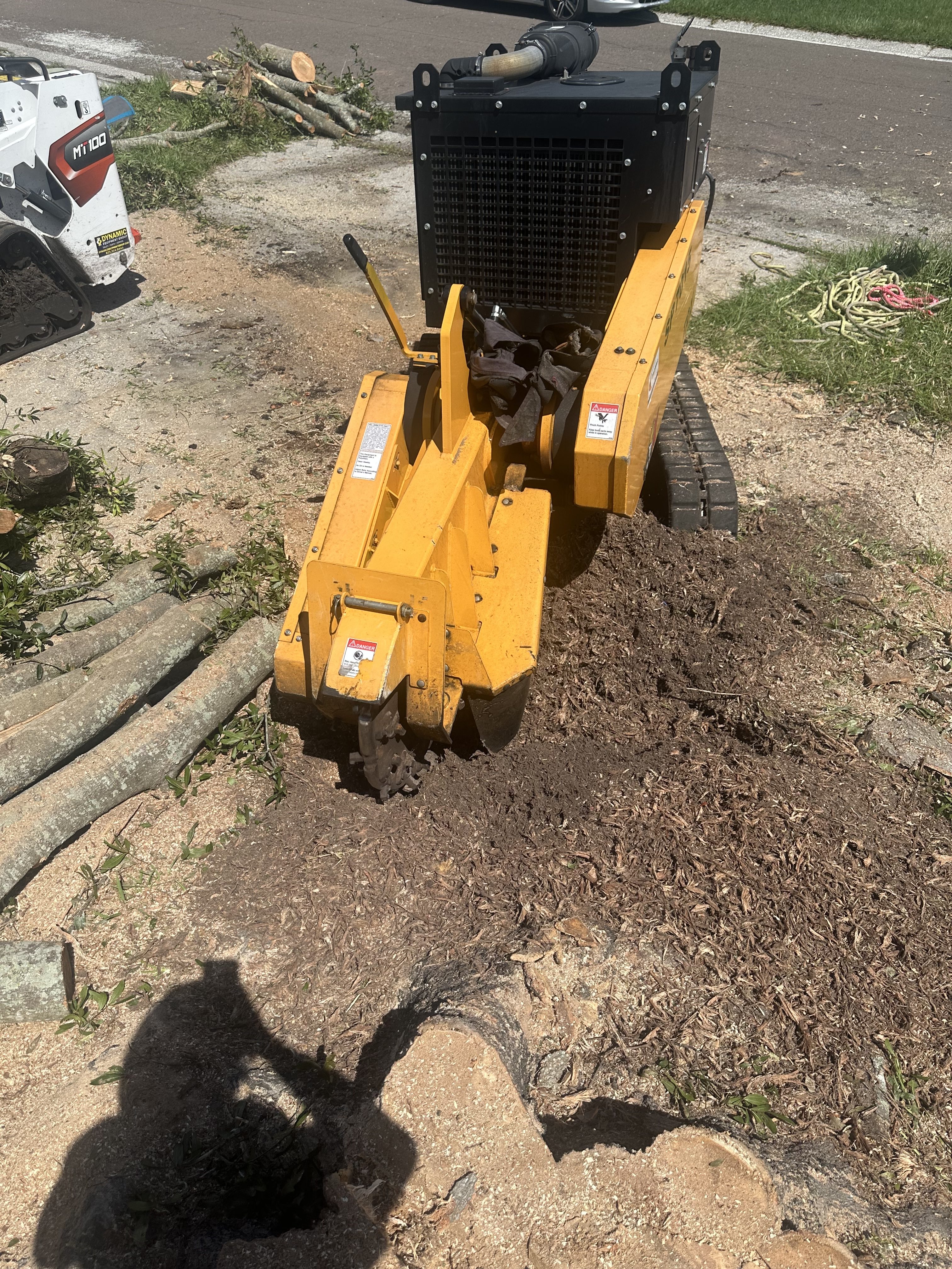 stump grinding