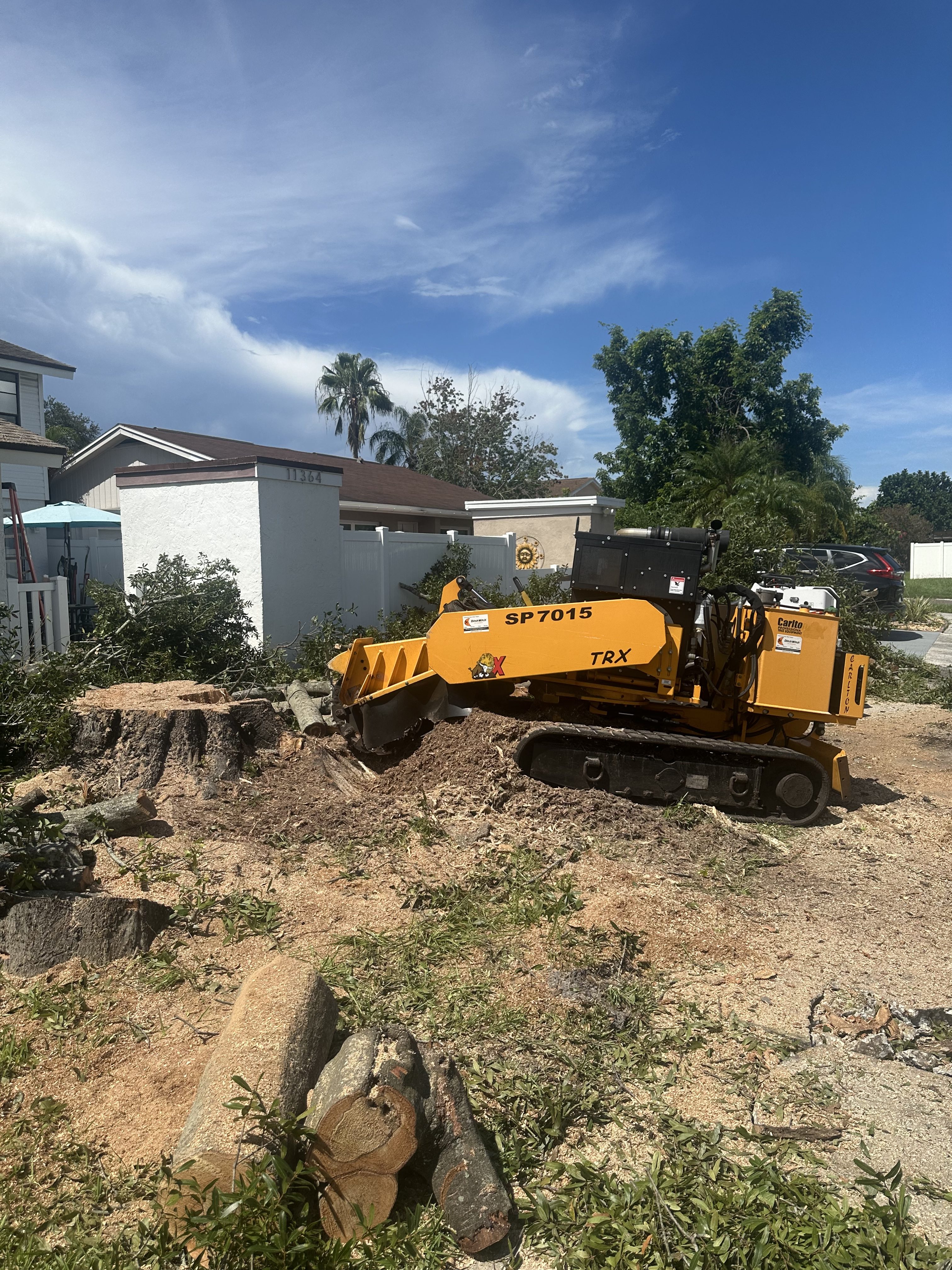 Stump Grinding in Tampa Bay Near Me