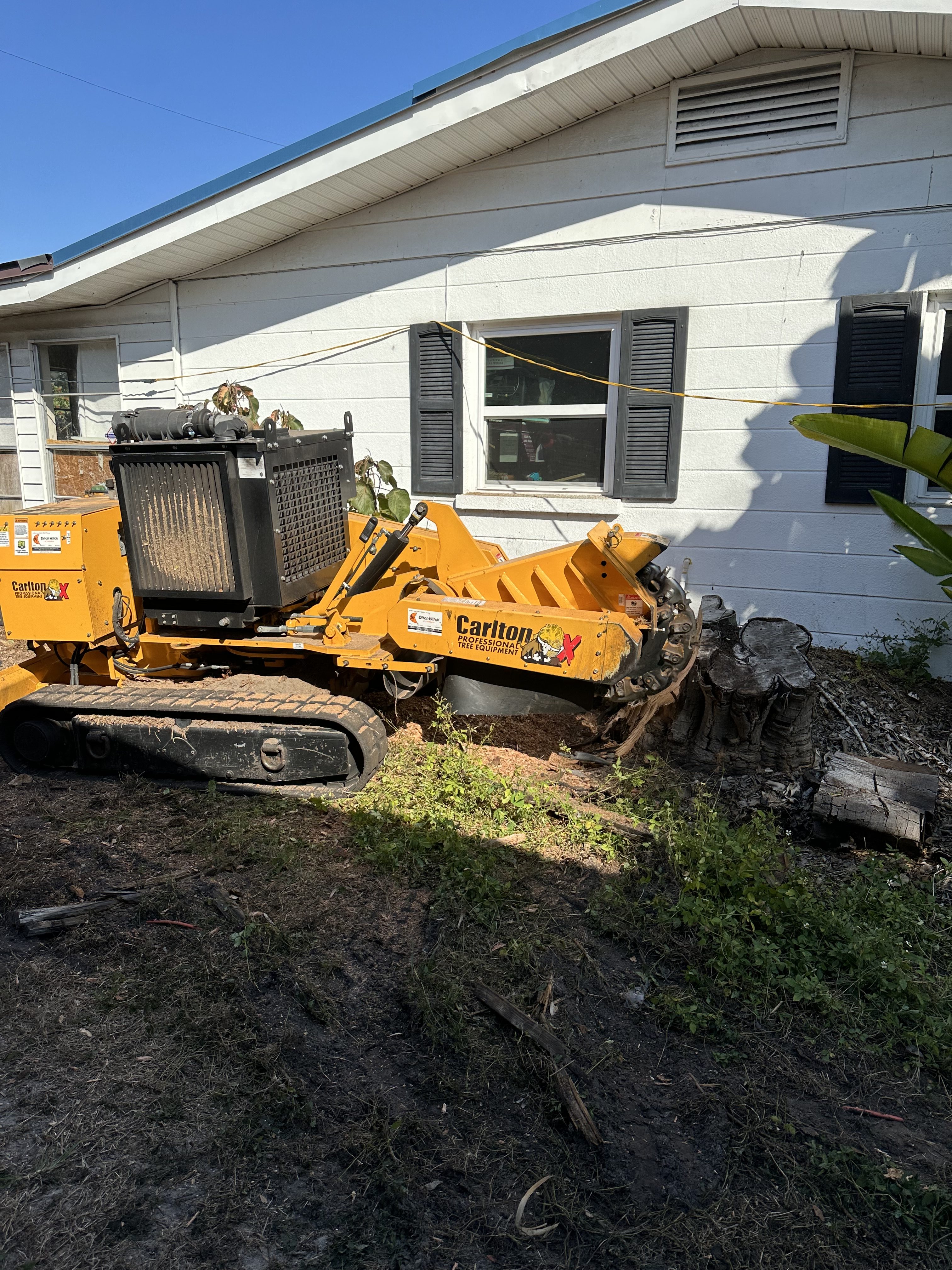 Tampa Florida tree stump grinding near me