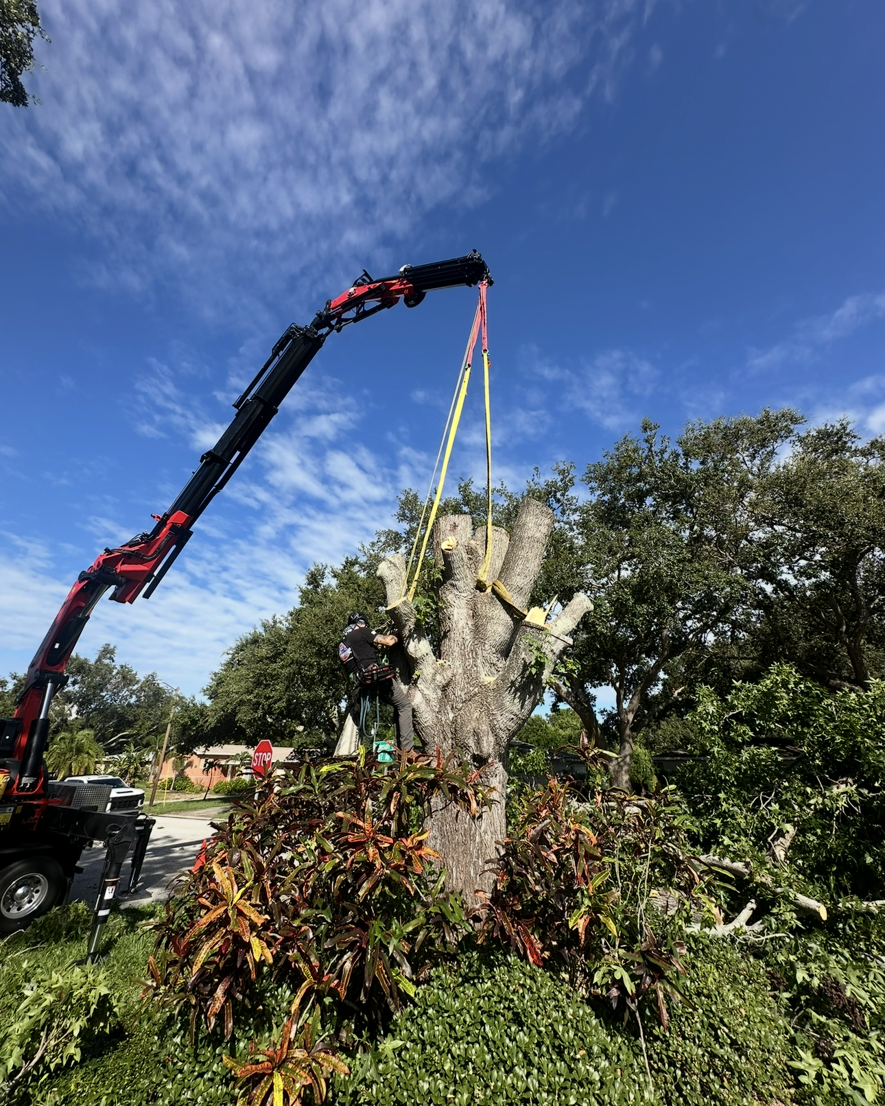 Emergency Storm Cleanup Near Me | 24/7 Tree & Debris Removal Tampa