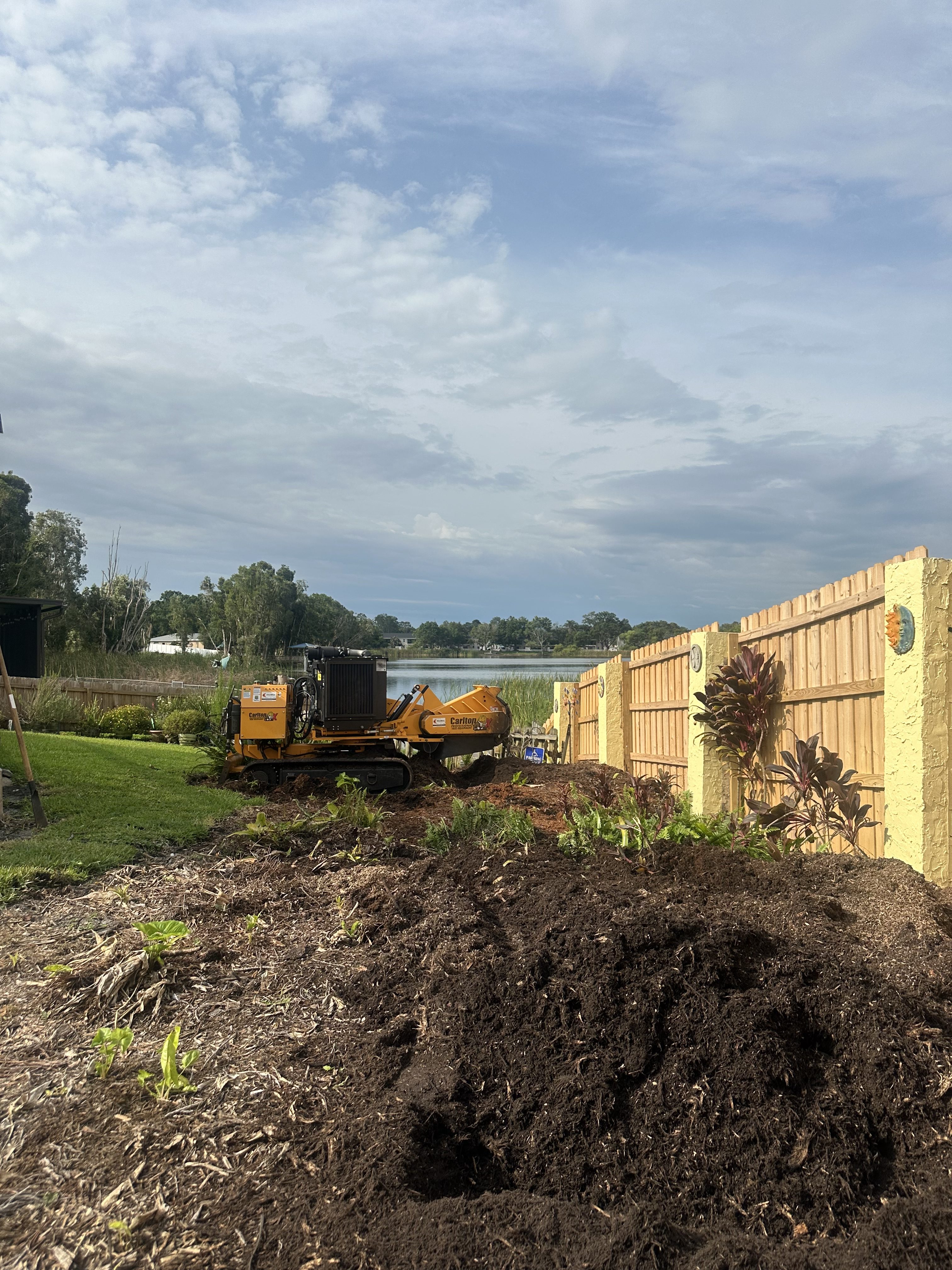 tampa stump removal and grinding