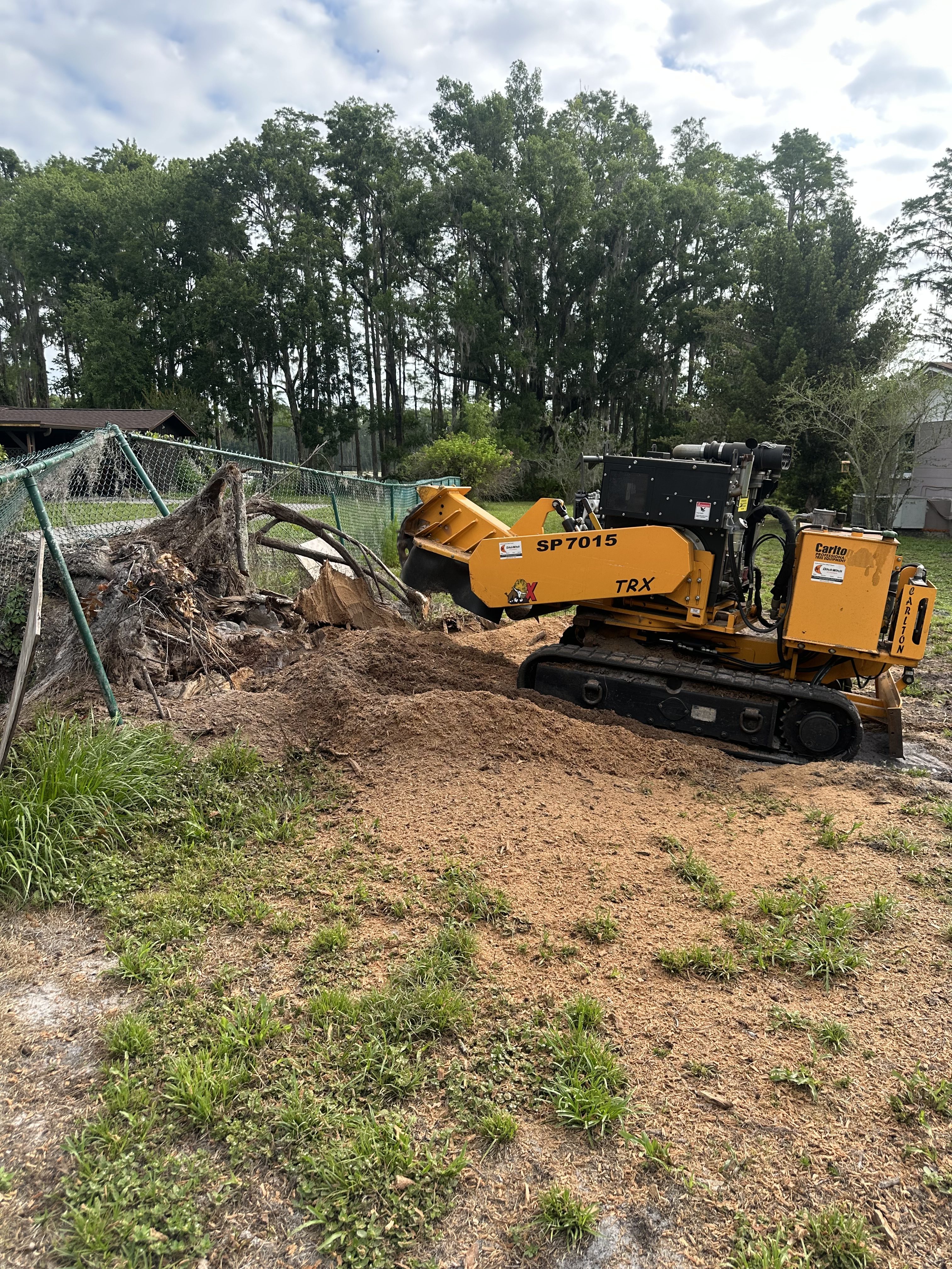 safe stump removal near me