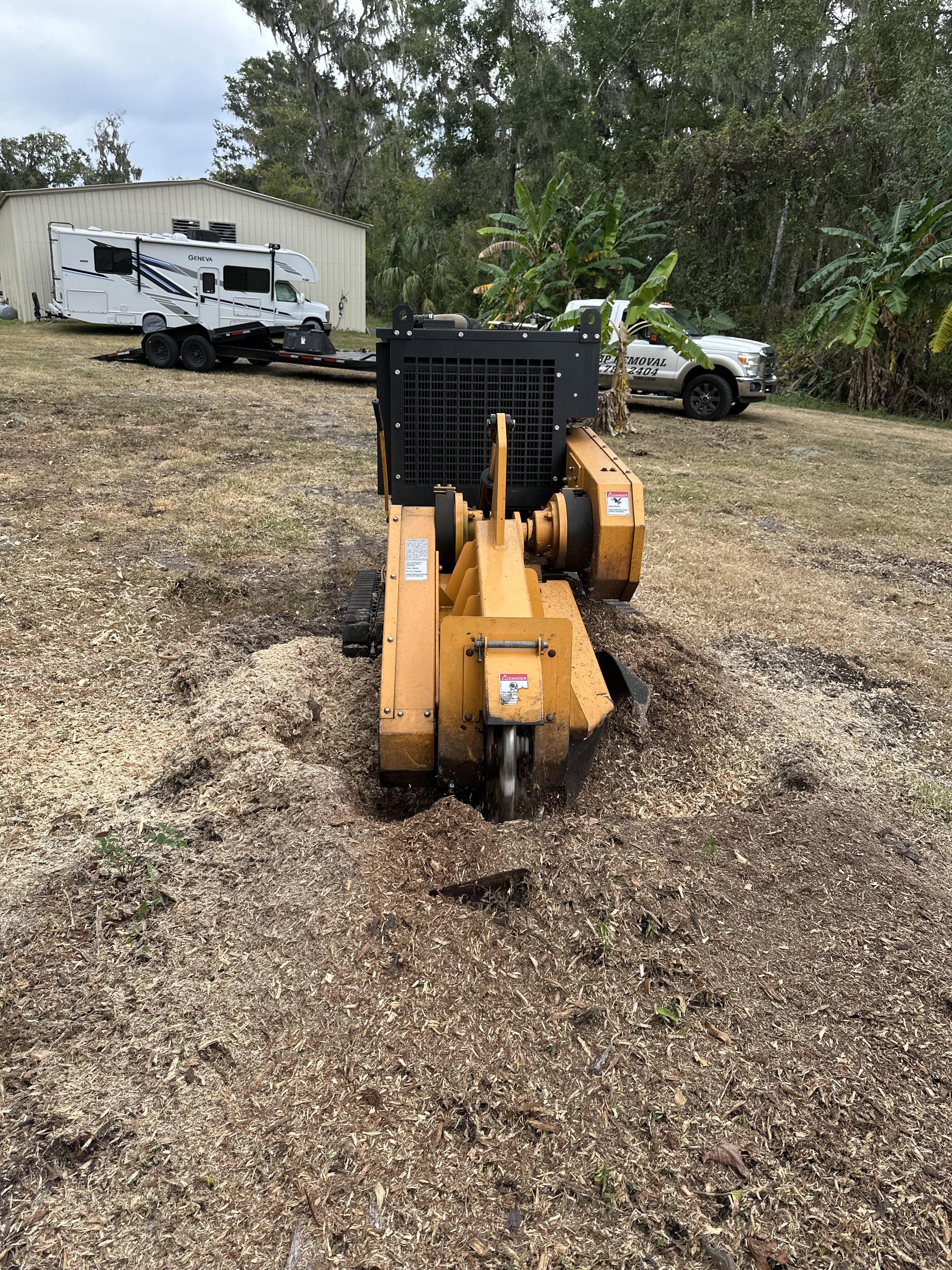 stump grinding in Tampa near me