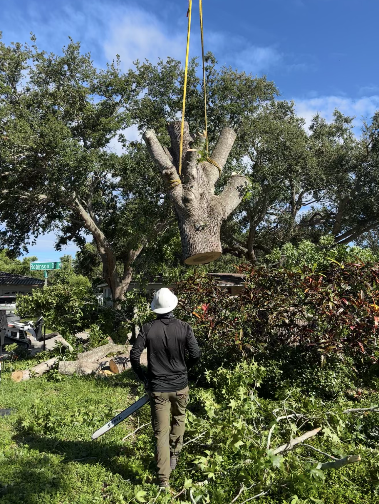 local stump grinding company Tampa Bay