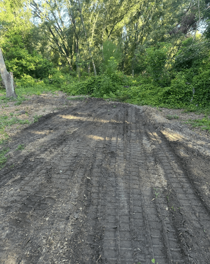 tree stump removal near me