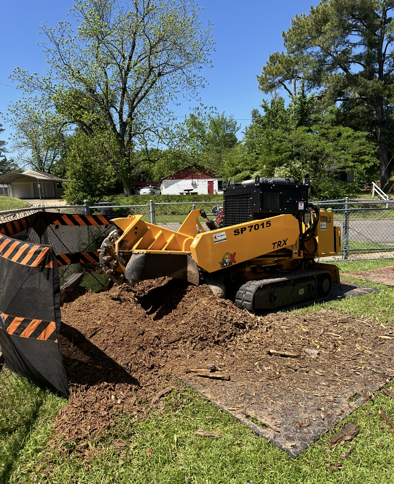 commercial stump grinder removing tree stump in tampa