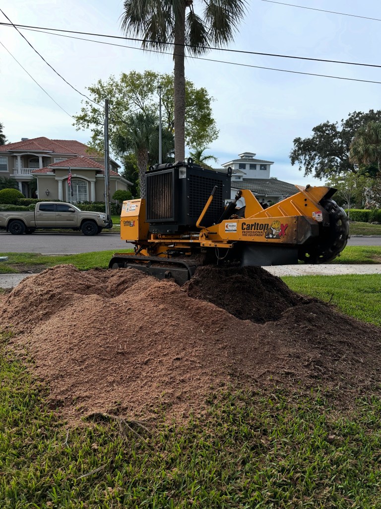 stump grinding service in Tampa Bay FL